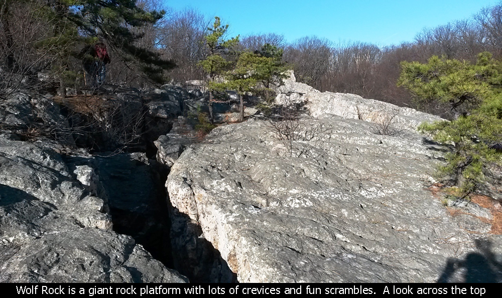 Wolf Rock is a giant rock platform with lots of crevices and fun scrambles. A look across the top