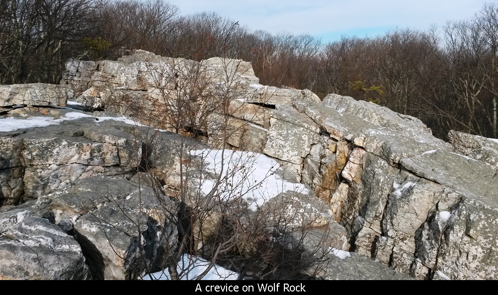 A crevice on Wolf Rock
