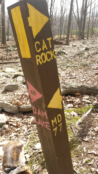 Sign on the Cat Rock trail