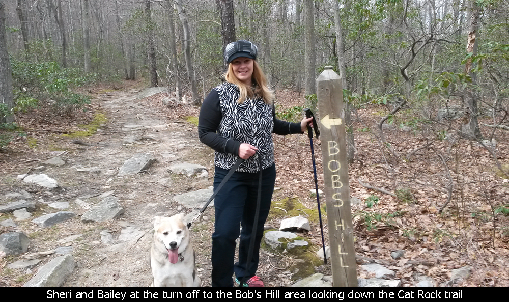 Sheri and Bailey at the turn off to the Bob's Hill area looking down the Cat Rock trail