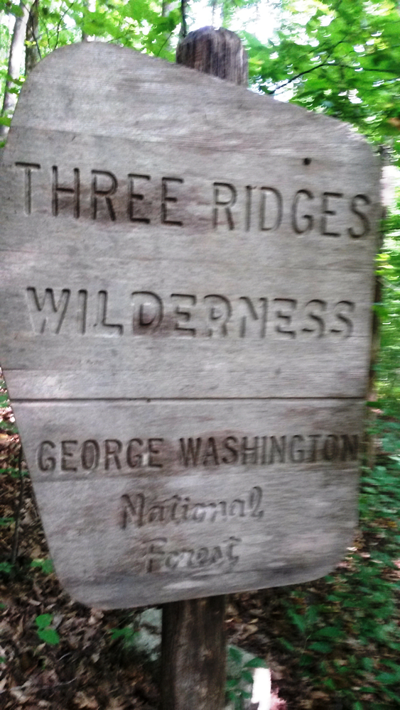 George Washington National Forest sign