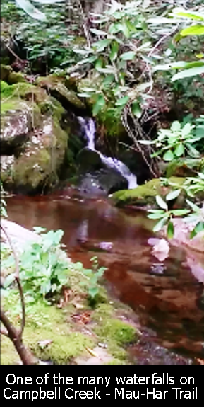 One of the many waterfalls on Campbell Creek - Mau-Har trail