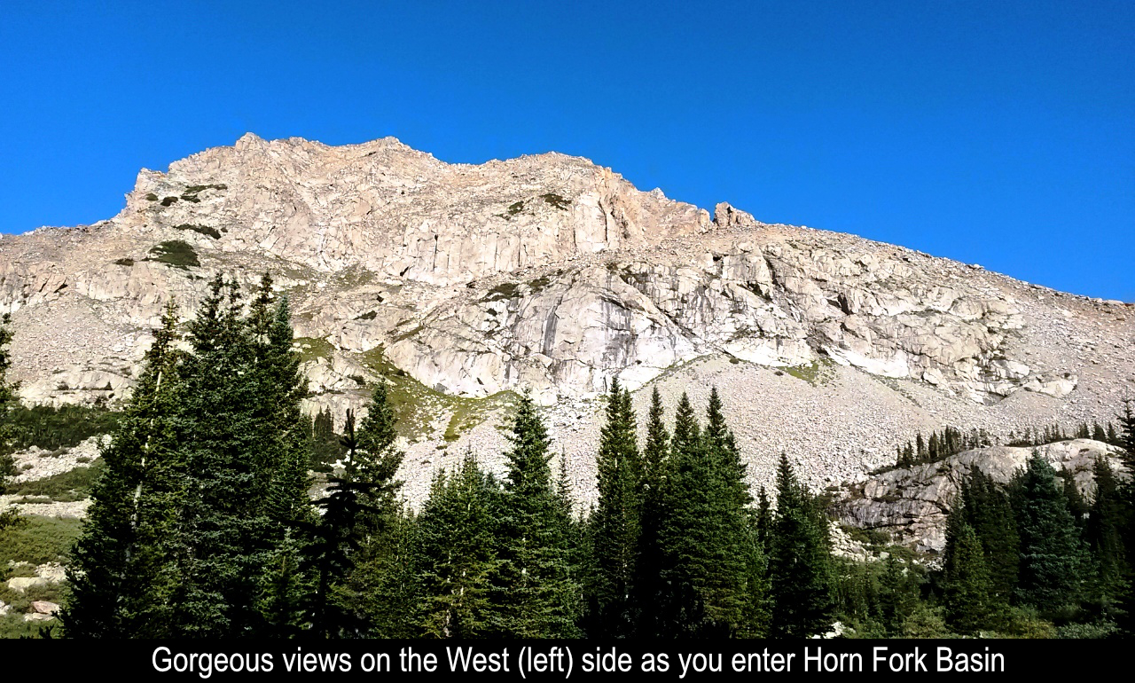 Views To West Side Of Horn Fork Basin