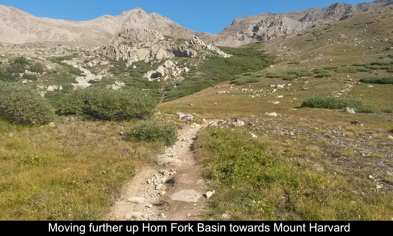 Moving Further Up Horn Fork Basin