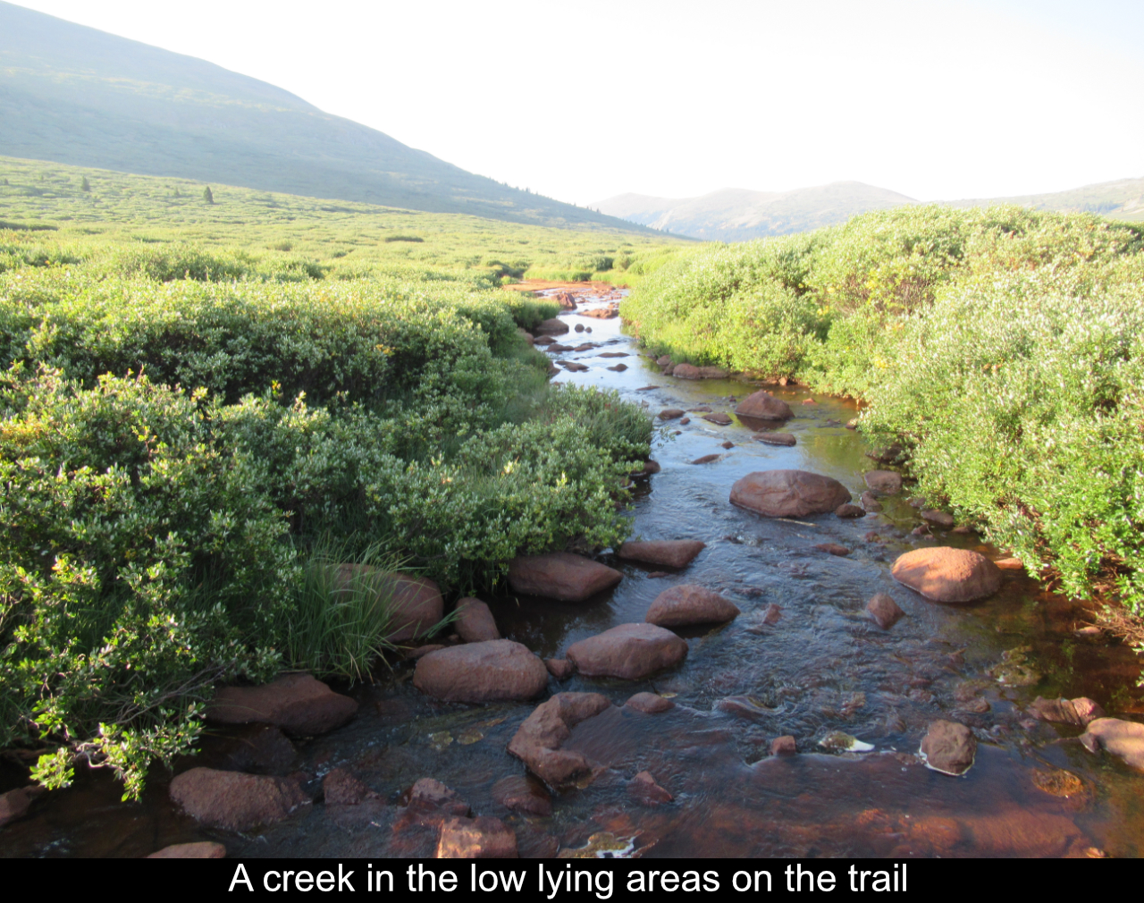 Creek In The Low Lying Areas
