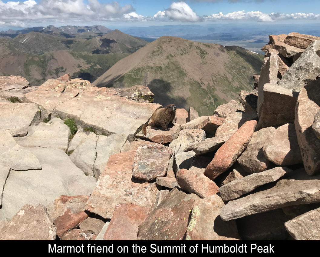 Marmot Friend On The Summit Of Humboldt Peak